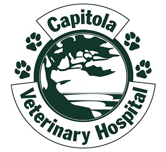 Link to Homepage of Capitola Veterinary Hospital